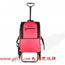 多功能保温购物车